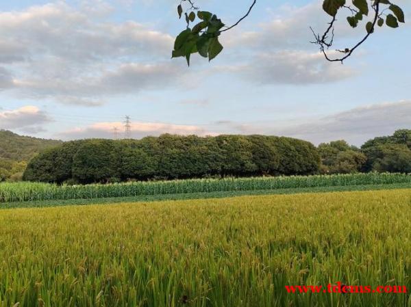 拉萨夜场招聘模特,拉萨KTV招聘信息,你的选择一定大于努力 拉萨夜场招聘模特,拉萨KTV招聘信息,你的选择一定大于努力