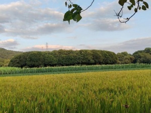 拉萨夜场招聘模特,拉萨KTV招聘信息,你的选择一定大于努力